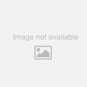Gerkens® Aristocrat Dutch Processed Cocoa Powder (22-24% fat) - 50 lb. Bag
